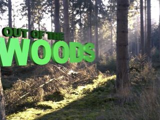 Out of the Woods
